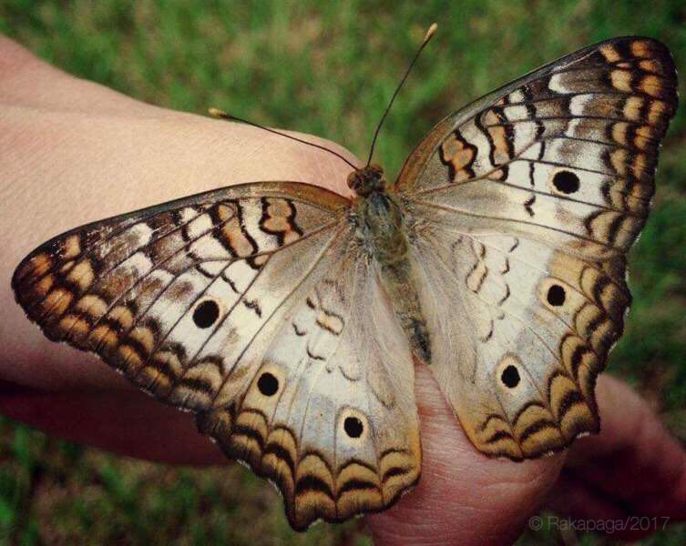Naturaleza nuestra