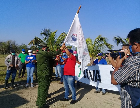 Instan en municipio camagüeyano de Céspedes a incrementar la producción de alimentos (+ Fotos) Instan en municipio camagüeyano de Céspedes a incrementar la producción de alimentos (+ Fotos)