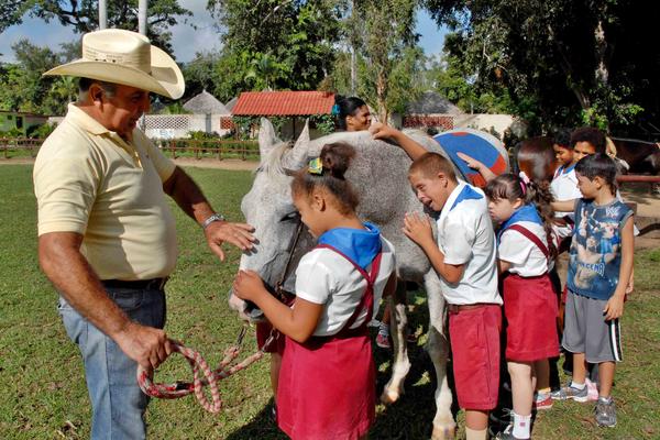 Centro de Equinoterapia en Camagüey con loables resultados en rehabilitación de discapacitados