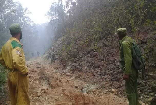Controlan foco de incendio forestal en el Parque Nacional Alejandro de Humboldt