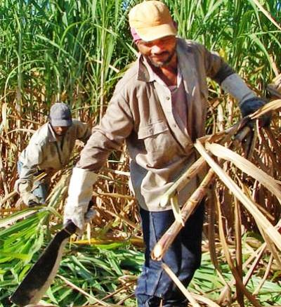 Homenaje en Cuba a trabajadores azucareros cincuentenarios