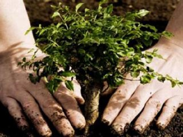 Con estrategias para mejorar su labor los Trabajadores Forestales saludan su día