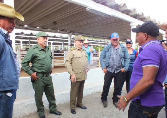 Entre los sitios visitados estuvo el cebadero El Macho, de la Empresa Pecuaria Maraguán.