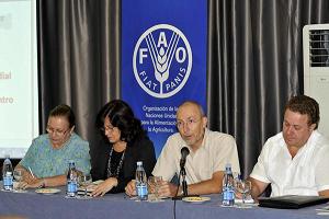 Reconoce FAO acciones de Cuba en la protección de los suelos