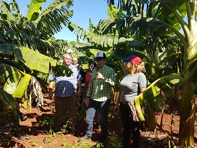 Llaman en Sierra de Cubitas a mayor exigencia en tareas prioritarias (+Fotos)