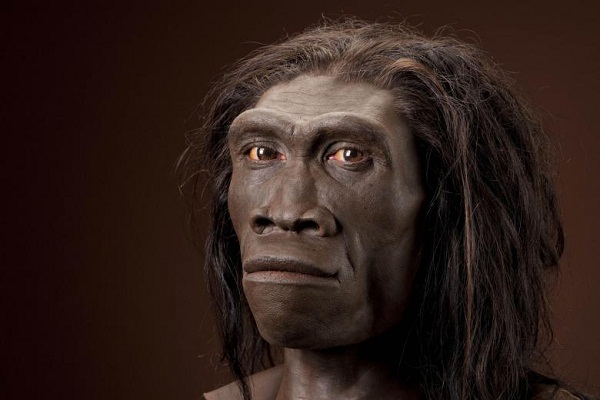 La pereza contribuyó a la extinción del Homo erectus, afirman científicos