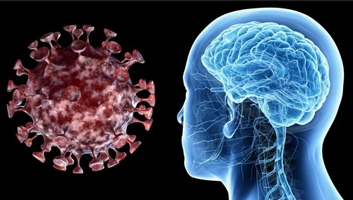 Diez consejos desde las neurociencias para enfrentar la COVID-19