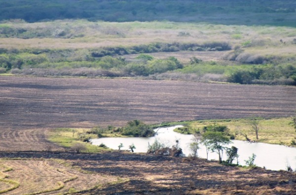 Nuevas tierras para sembrar alimentos, cerca de aguadas.