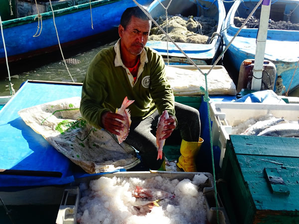 Buen aporte de pescadores de Santa Cruz del Sur