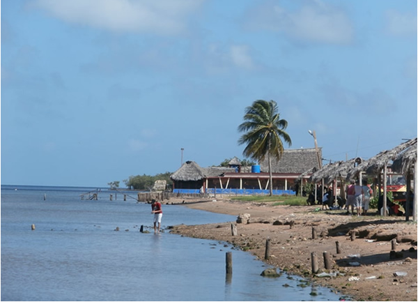 Enfrentamiento al cambio climático: una tarea por la vida en Florida, Camagüey (+ Fotos y Audio)
