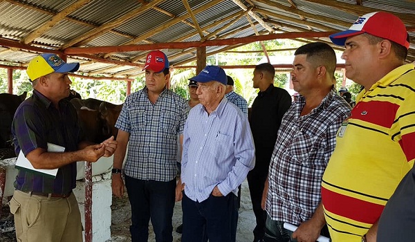 La UBPC cañera El Entronque diversifica la producción de alimentos.