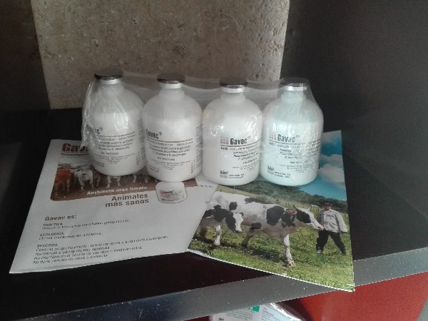 Biotecnología camagüeyana en función del desarrollo agropecuario (+ Audio)