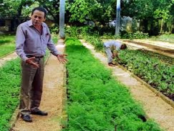 Socializan experiencias del especialista Adolfo Rodríguez Nodals en taller sobre agricultura sostenible