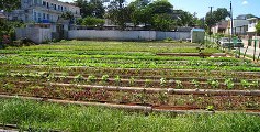 Intercambian productores franceses con campesino camagüeyano