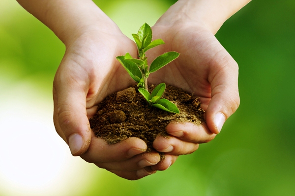 Camagüey apuesta al desarrollo sostenible de su agricultura