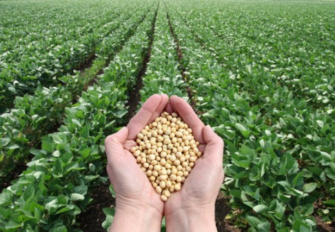 Soberanía alimentaria en Encuentro Internacional de Agroecología