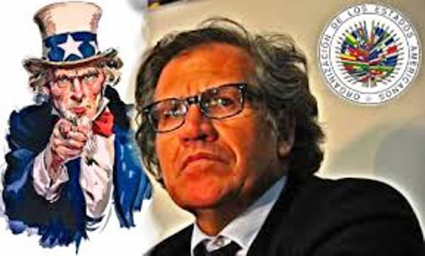 La OEA sigue siendo incondicional al Imperio