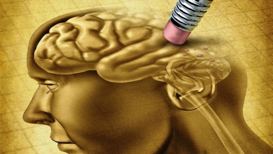 El alzhéimer podría tener su origen fuera del cerebro, revela estudio