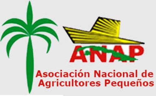 Resaltan funcionamiento de organizaciones campesinas en Cuba