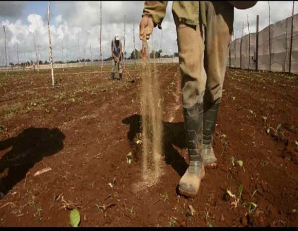Destacan fertilizantes zeolíticos Nerea por contribuir a la nutrición de cultivos
