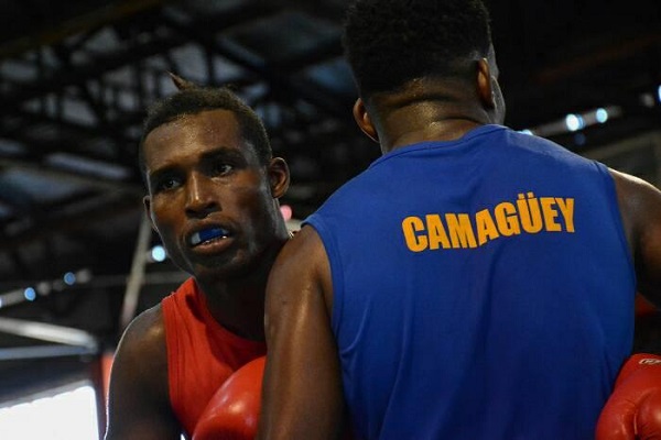 Mantiene Camagüey su reinado en el Boxeo cubano