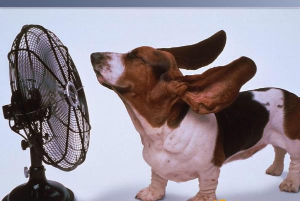 Calor, aisladas lluvias y tormentas eléctricas en Camagüey