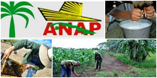 Campesinos camagüeyanos impulsan la producción de alimentos (+ Fotos)