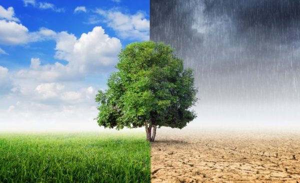 Cambio climático: el mayor desafío que enfrenta la humanidad