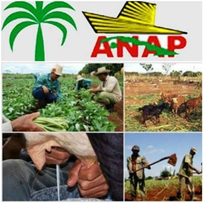 Denuncia organización latinoamericana del campo exclusión del campesinado cubano de Cumbre de Perú