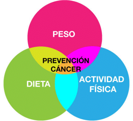 Dieta sana propicia prevención de cáncer de mama