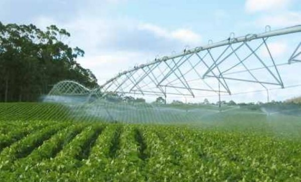Incrementará Cuba 50 mil hectáreas bajo riego hasta 2020