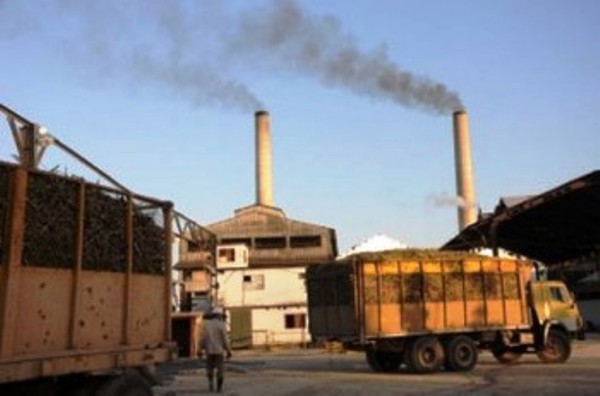 Insisten en la calidad de las producciones para elevar la zafra en Cuba