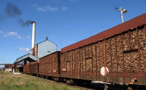 Cambio de estructura en sector azucarero en Cuba deberá aportar beneficios en la próxima zafra