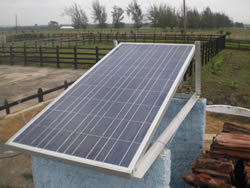 Continúa en Camagüey instalación de cercas eléctricas para ganadería