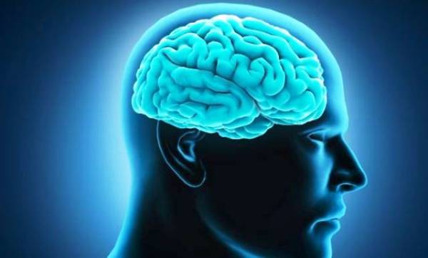 Una parte del cerebro crece más en la adultez, revela estudio