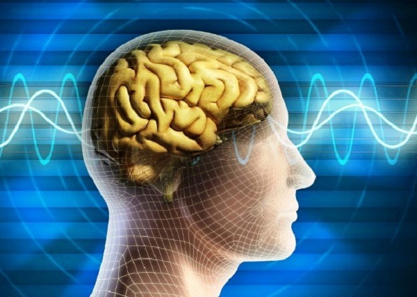 Intercambiarán experiencias neurocientíficos británicos y cubanos