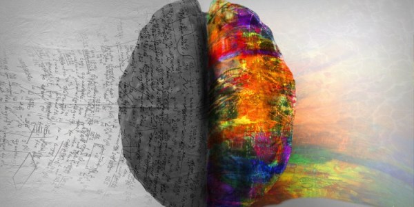 Descubren cómo el cerebro transforma la información en pensamiento consciente