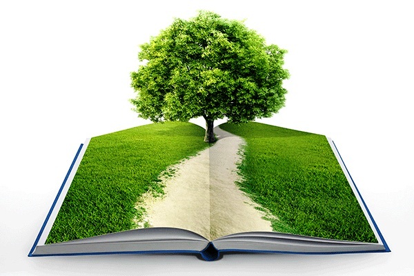 Conciencia ambiental por un futuro más verde
