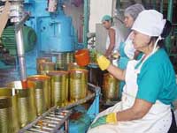 Suministra fábrica camagüeyana variedad de productos a mercados y bodegas locales