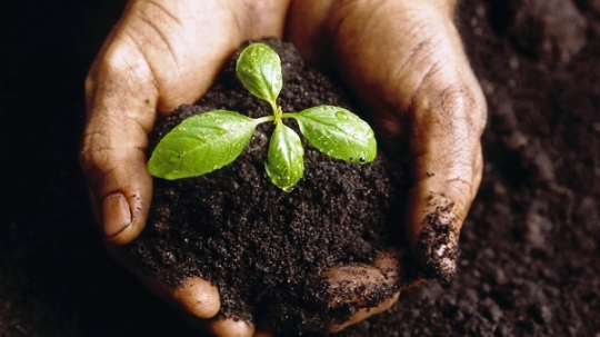 Impulsan Cuba y República Checa cooperación en sector agrícola