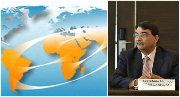 La FAO impulsa cooperación Sur-Sur en sector pesquero