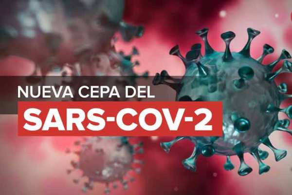 Ratifican autoridades sanitarias presencia en Camagüey de cepa sudafricana del SARS-CoV-2 (+ Foto y Gráficos)