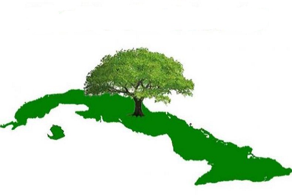 Destacan resultados de Cuba en enfrentamiento a la desertificación y sequía