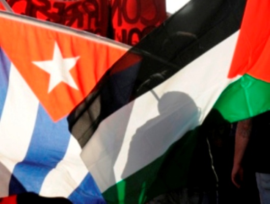 Palestinos egresados de universidades cubanas ratifican apoyo a la Revolución