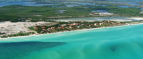 Considerado de referencia mundial ecosistema Sabana-Camagüey por su biodiversidad