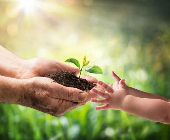 Reforestar es asegurar el futuro