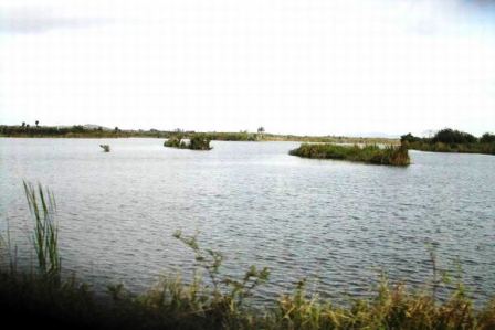 Camagüey entre provincias cubanas con mayor descenso en niveles de agua represada