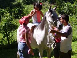 Pacientes cardiovasculares infantiles reciben rehabilitación en centro de equinoterapia