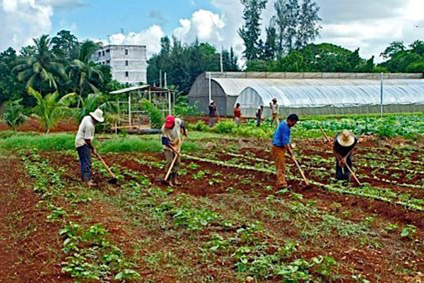 Cuba potencia respuesta ante emergencias alimentarias