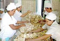 Enviadas a Santiago de Cuba 195 toneladas de alimentos desde Camagüey